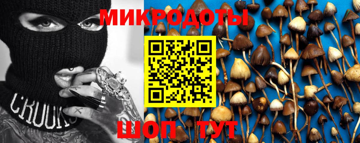 МЕФ Ковров